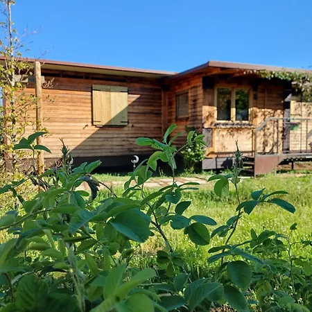 Jasmine & Rose House Udine